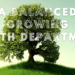 A Balanced Growing Youth Department