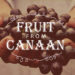 Fruit From Canaan