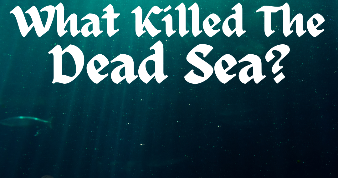 What Killed The Dead Sea