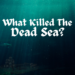 What Killed The Dead Sea