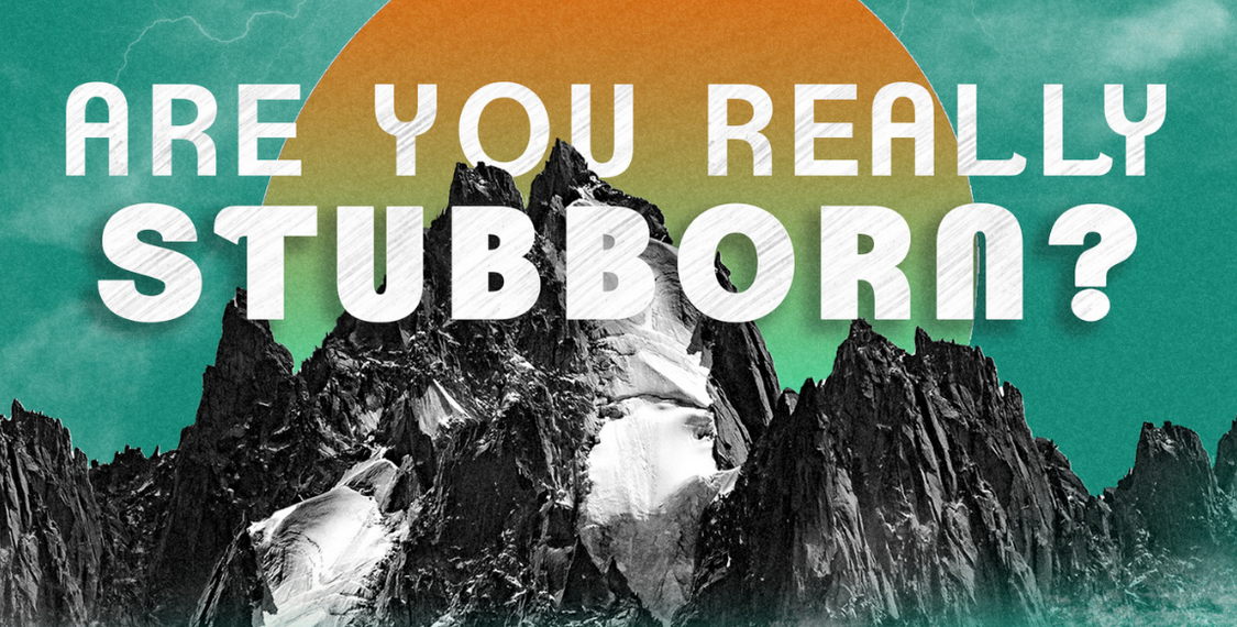 Are You Really Stubborn?