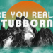 Are You Really Stubborn?