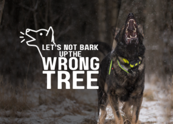 Let’s Not Bark Up The Wrong Tree 