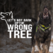 Let’s Not Bark Up The Wrong Tree 