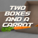 Two Boxes And A Carrot